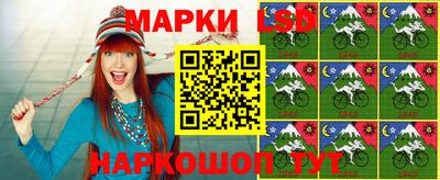 шишки Сланцы
