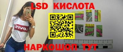 шишки Сланцы