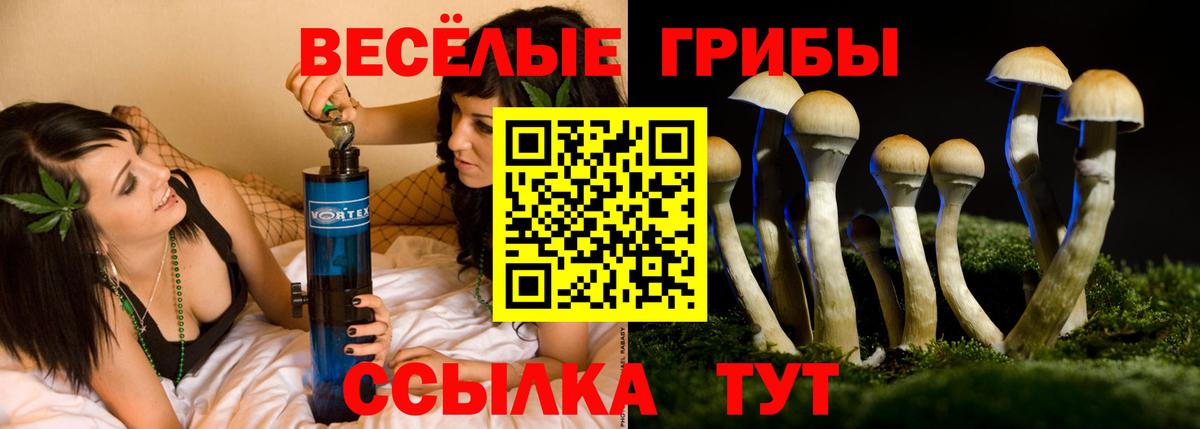 Галлюциногенные грибы Psilocybe  Вход с VPN  Обь 